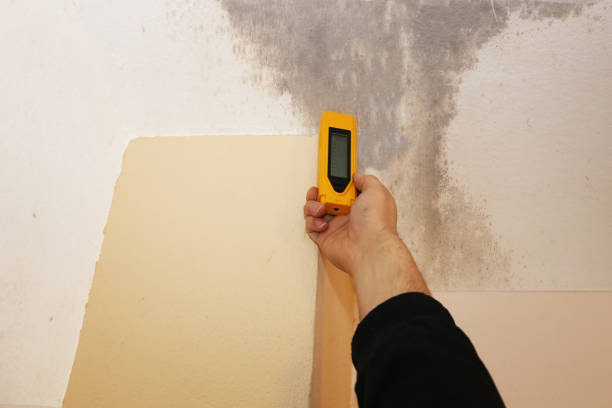 Best Indoor Air Quality Assessment  in Union, SC