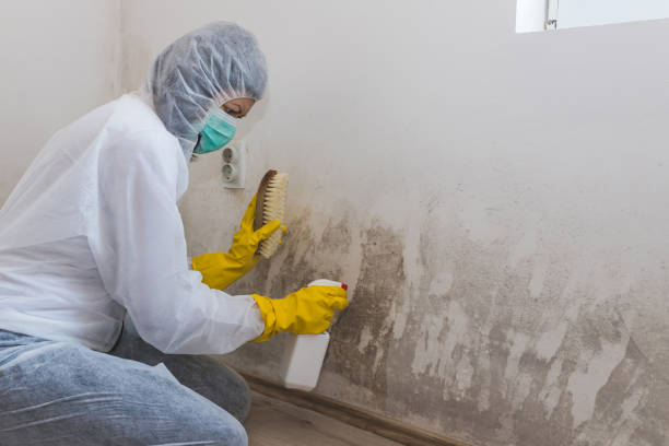 Mold Remediation for Rental Properties in Union, SC