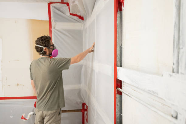 Best Mold Prevention Services  in Union, SC