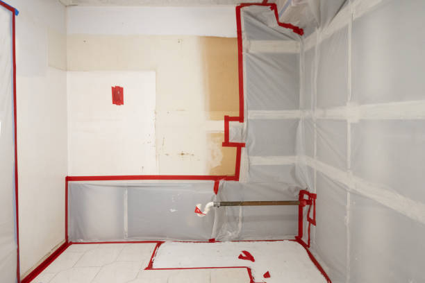 Best Crawl Space Mold Remediation  in Union, SC