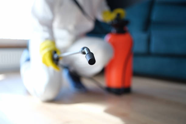 Professional Mold Removal in Union, SC