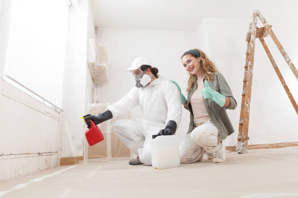 Best Mold Odor Removal Services  in Union, SC